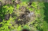 Українські прикордонники знищили польвоий склад з БК та ворожу техніку