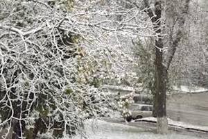 В Вашингтоне из-за снега закрыты школы и госучреждения