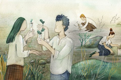 Ключові компетентності НУШ: як виростити дерево