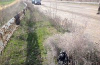 Полиция обнаружила взрывчатку возле автомобильного моста в Донецкой области