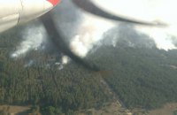 Лісову пожежу в Херсонській області локалізовано