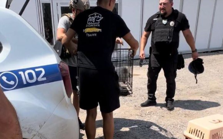 Поліція та волонтери евакуювали тварин з двох громад Харківщини