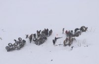У Туреччині через сходження двох лавин загинули 33 рятувальники