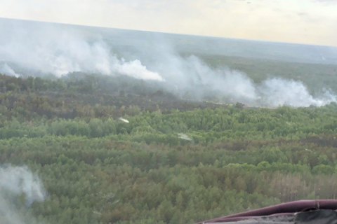 В Чернобыльской зоне наблюдаются отдельные очаги возгорания, - ГосЧС
