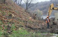 На Печерских склонах строители вырубили сотни деревьев