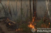 Поліція затримала жінку, підозрювану в підпалі лісу в Чорнобильській зоні