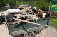 На Закарпатті викрили схему перевезення чоловіків у Румунію під виглядом худоби