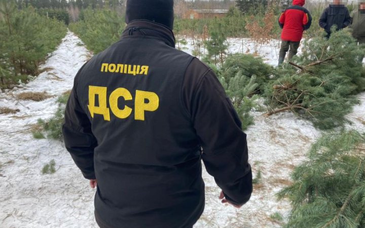 В Україні перед новорічними святами втричі збільшили штрафи за незаконну рубку ялинок 