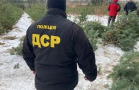 В Україні перед новорічними святами втричі збільшили штрафи за незаконну рубку ялинок 