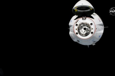 Пілотований космічний корабель Crew Dragon успішно зістикувався з МКС