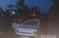 В ДТП с "Запорожцем" в Николаевской области пострадали шесть человек