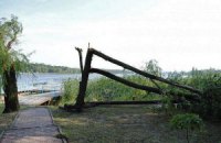 На Львовскую область обрушился ураган: есть пострадавшие