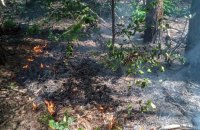 Унаслідок обстрілів росіянами загорівся ліс на Сумщині