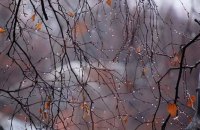 В неділю в Україні дощитиме