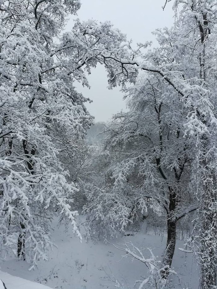 Мариинский парк, Киев