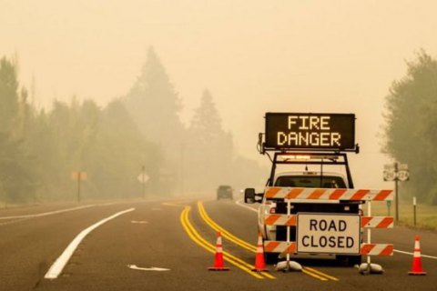 У США через лісові пожежі загинуло більше десятка людей
