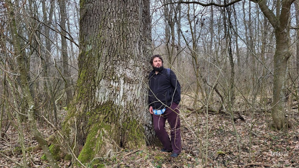 Петро Тєстов