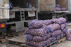 В Одесской области задержали молдаванина, перевозившего 5 тонн контрабандной картошки