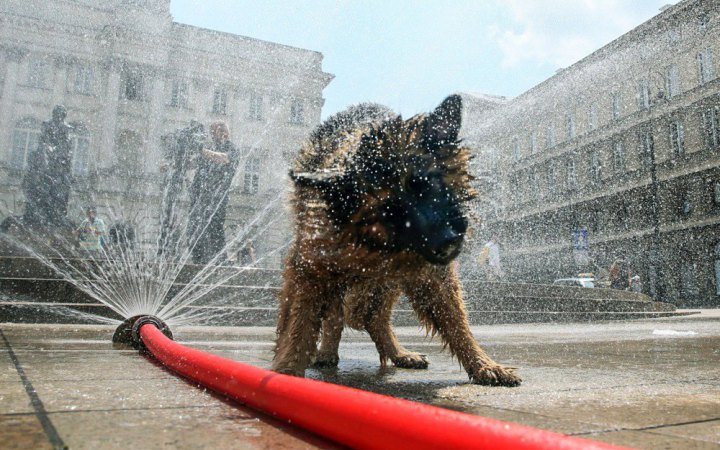 У Києві вчора зафіксували три температурних рекорди