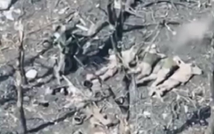 Прокуратура розпочала розслідування розстрілу окупантами п'яти полонених військових ЗСУ