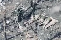 Прокуратура розпочала розслідування розстрілу окупантами п'яти полонених військових ЗСУ