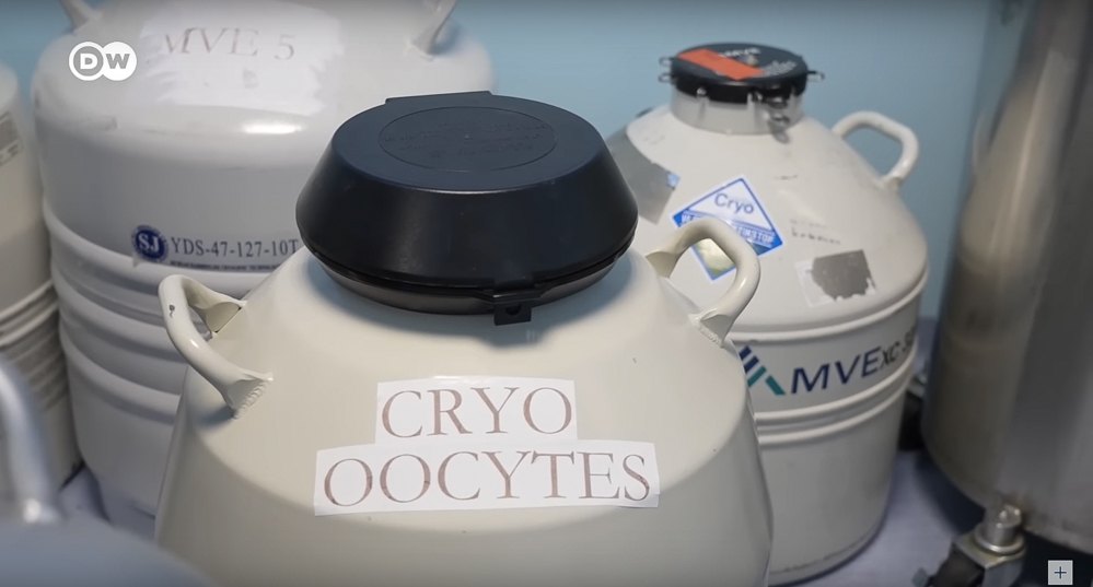 Заморожений матеріал зберігають у спеціальних будиночках — кріотопах.