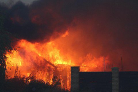 Ущерб от лесного пожара в Станично-Луганском районе оценили в 1,2 млн грн
