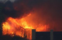 Збитки від лісової пожежі в Станично-Луганському районі оцінили в 1,2 млн грн