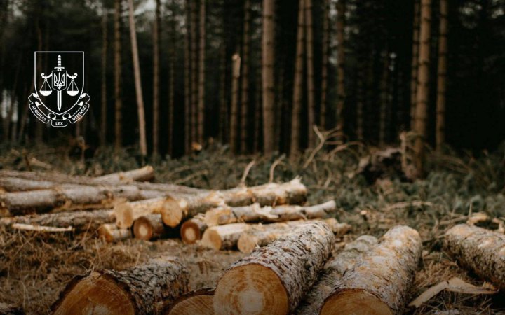 Викрито осіб, які незаконно вивели з держвласності 6 га лісу під Буковелем