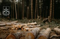 Викрито осіб, які незаконно вивели з держвласності 6 га лісу під Буковелем
