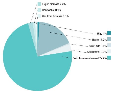 Рис. 3. Биомасса составляет значительную долю среди возобновляемых источников энергии в мире. Структура производства энергии из
возобновляемых источников по состоянию на 2007 год. Ветер - 1%, вода - 17,7%, солнечная и энергия приливов - 0,6%, геотермальная - 3,3%, твердая биомасса и уголь - 72,9%, жидкая биомасса - 2,4%,
возобновляемые источники - 0,9%, газ из биомассы - 1,1%.