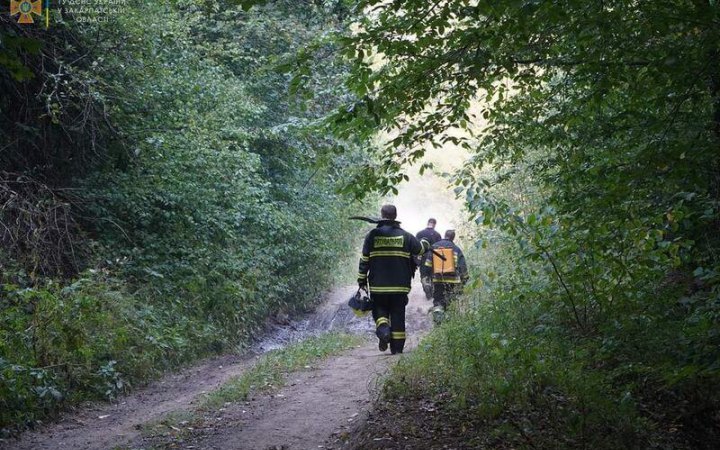 В Україні реформують лісову галузь, - Міндовкілля