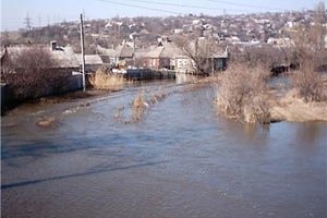 Жители закарпатского села вынуждены ежедневно переходить реку вброд
