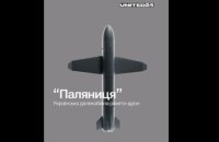 Литва виділяє €10 мільйонів для України на закупівлю ракет-дронів "Паляниця"