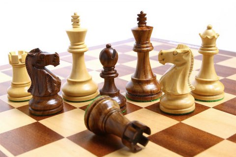 Во Львове шахматист убил своего соперника из-за поражения