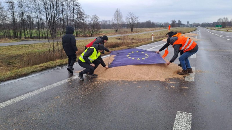 Поляки бояться конкуренції з Україною на сільськогосподарському ринку. Українське зерно, яке польські фермери висипали з вантажівок на дорозі перед пунктом пропуску 'Дорогуськ — Ягодин', 11 лютого 2024. 