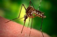 Перша вакцина проти малярії отримала "зелене світло"
