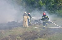 Загальна площа пожеж у лісах України зросла з початку року у сто разів