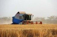 Кабмин планирует поднять цену на сельскохозяйственные земли на 70%