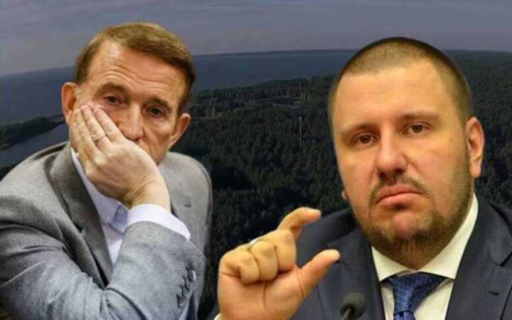 Державі повернули 9 га лісу на Київщині, пов’язаних з Медведчуком та міністром часів Януковича