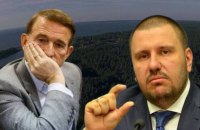 Державі повернули 9 га лісу на Київщині, пов’язаних з Медведчуком та міністром часів Януковича