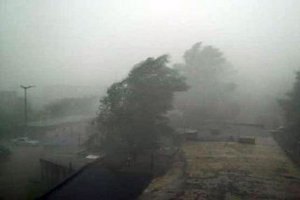 ​В Днепропетровске из-за бури повалены десятки деревьев