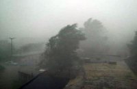 У Дніпропетровську через бурю повалено десятки дерев