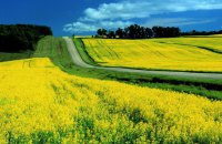 Європеїзація українського агросектору потребує 10 років перехідного періоду