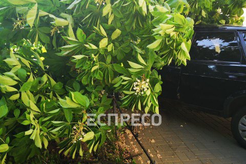 В центре Киева легковушка сбила двух женщин на тротуаре