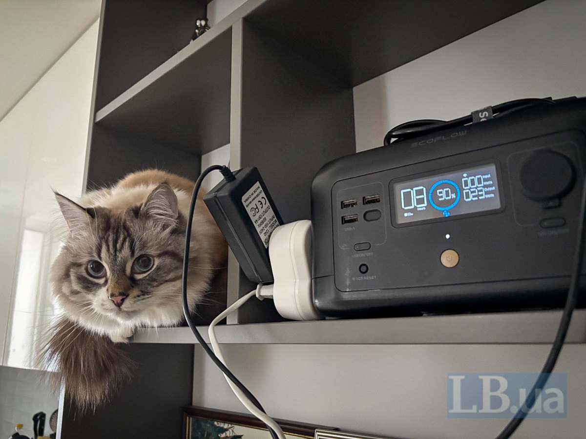 Кіт біля зарядної станції EcoFlow.