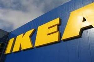 IKEA обвиняют в вырубке вековых лесов