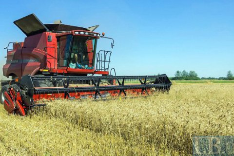 З України вивели $1,5 млрд прибутку з експорту зерна, - дослідження