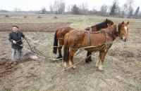 Корупціонери - в плюсі, селяни - в мінусі