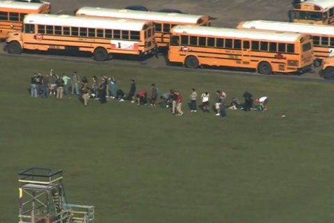 При стрельбе в техасской школе погибли 10 человек (обновлено)